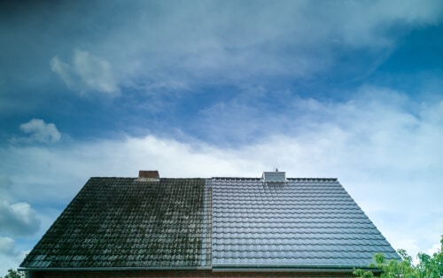 How to Clean and Prevent Roof Moss